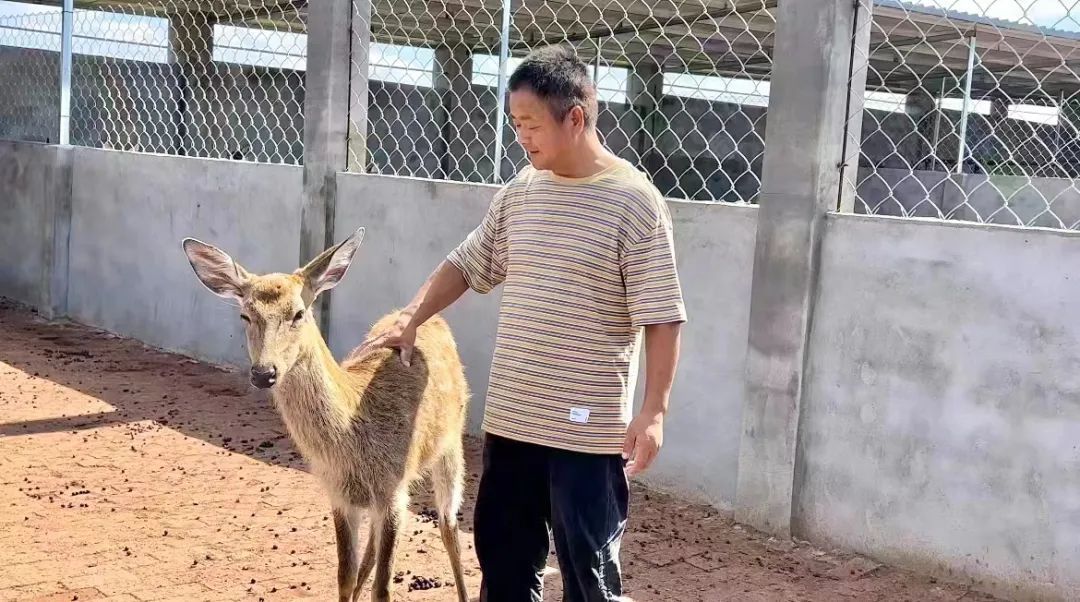 瑞博备用网址